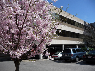 Side of the building - parking under the building